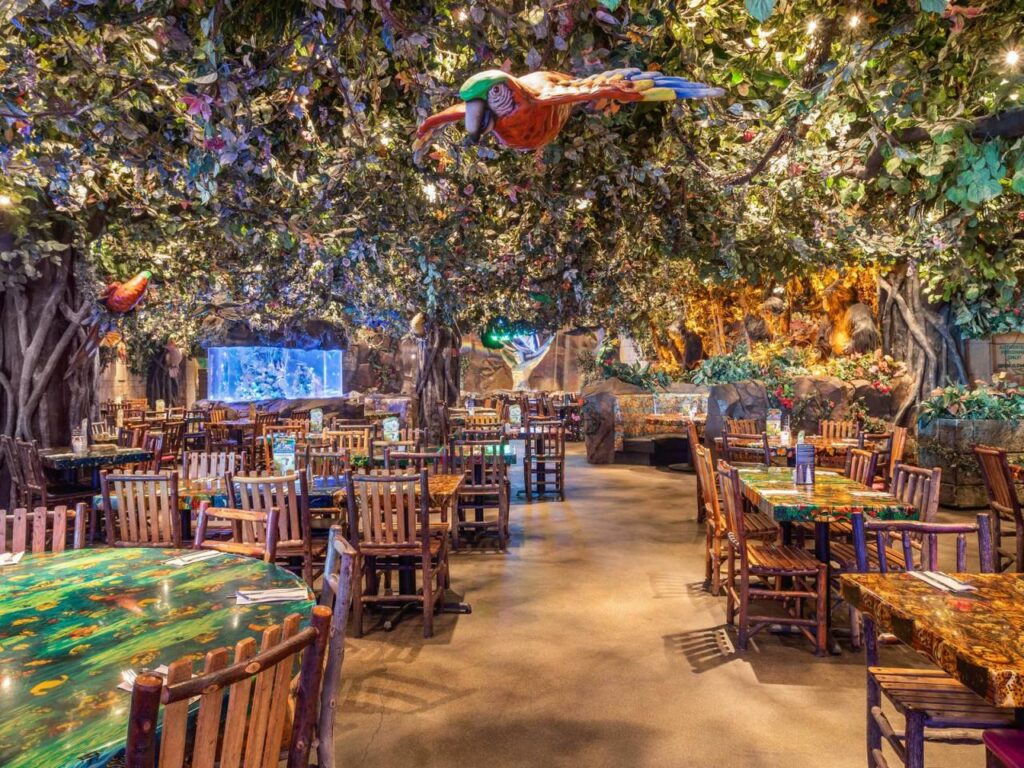 Rainforest Cafe Immerse Yourself in an Enchanting Dining Adventure